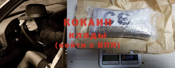 твердый Аркадак