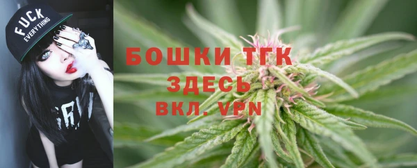 гашик Нязепетровск