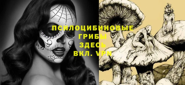твердый Аркадак