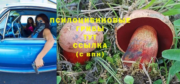 a pvp Армянск