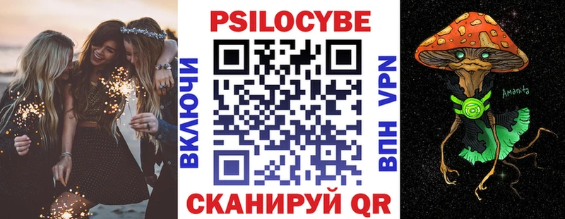 купить наркотик  Николаевск-на-Амуре  Галлюциногенные грибы Psilocybine cubensis 